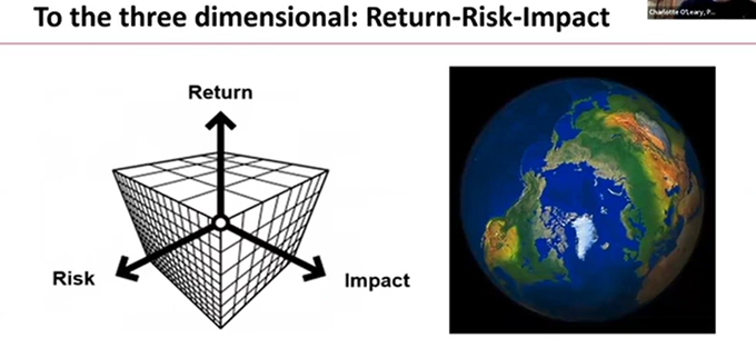 To the three dimensional: Return-Risk-Impact